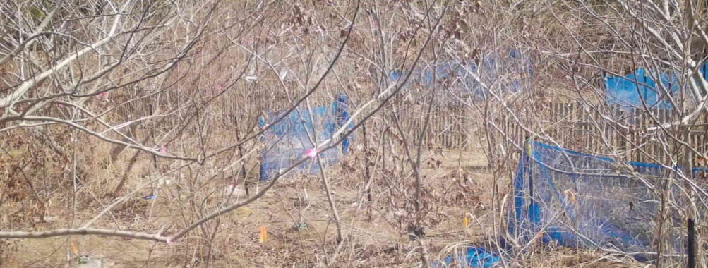 Mar 7 2026 10:13:48, #01