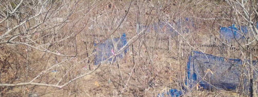 Mar 7 2026 13:13:47, #01