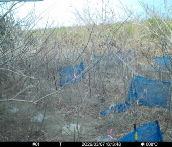 Mar 7 2026 16:13:48, #01