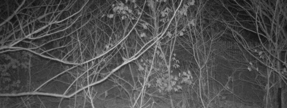 Mar 7 2026 22:13:48, #01