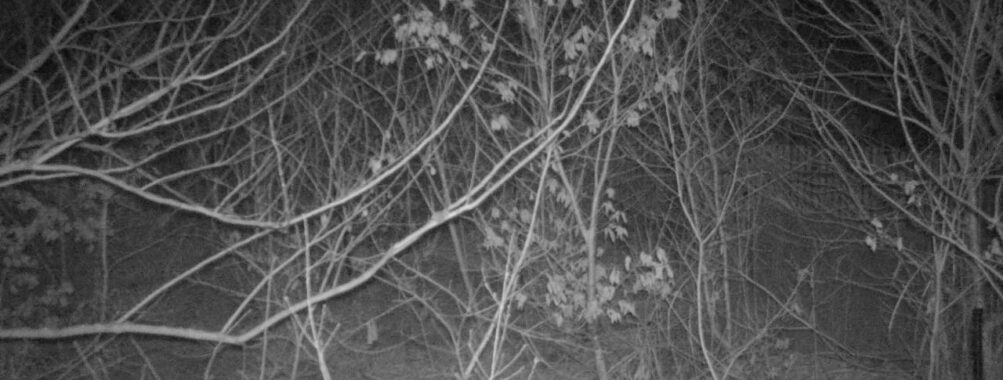 Mar 8 2026  4:13:48, #01