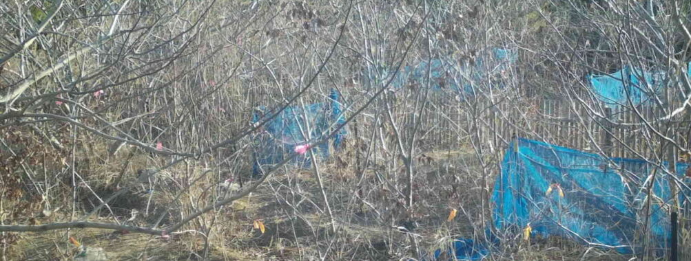 Mar 8 2026  7:13:47, #01