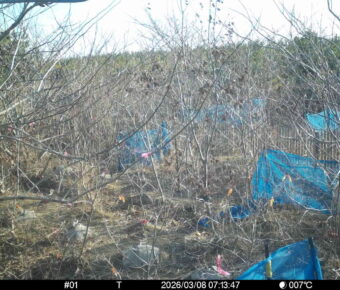 Mar 8 2026  7:13:47, #01