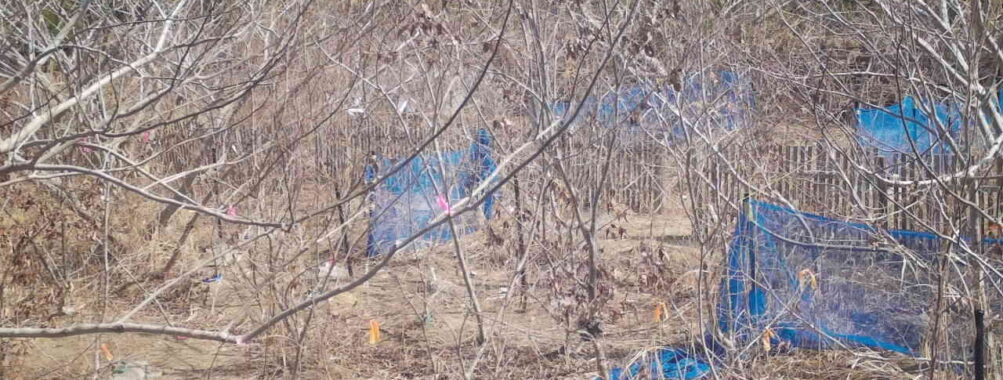 Mar 8 2026 10:13:48, #01