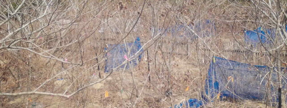 Mar 8 2026 13:13:47, #01