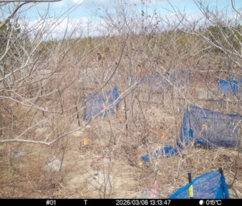 Mar 8 2026 13:13:47, #01