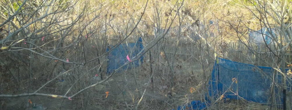 Mar 8 2026 16:13:47, #01