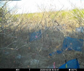 Mar 8 2026 16:13:47, #01