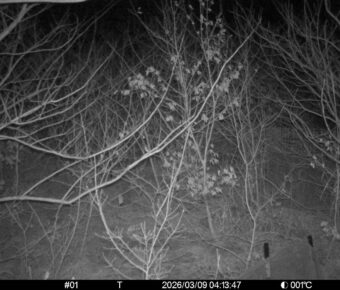 Mar 9 2026  4:13:47, #01