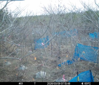 Mar 9 2026  7:13:48, #01