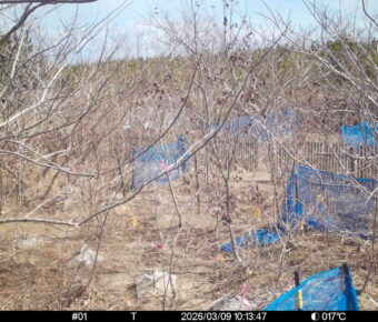 Mar 9 2026 10:13:47, #01