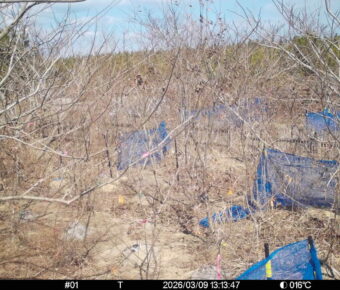 Mar 9 2026 13:13:47, #01