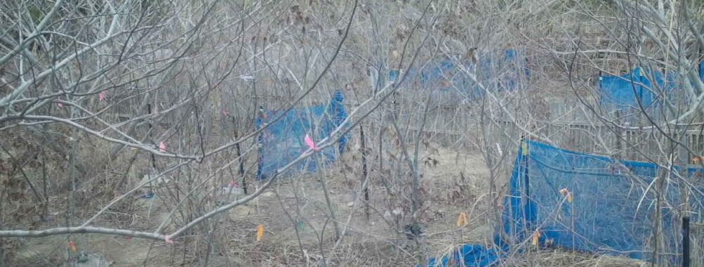 Mar 9 2026 16:13:48, #01