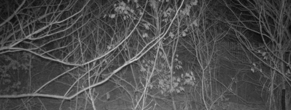 Mar 9 2026 19:13:47, #01