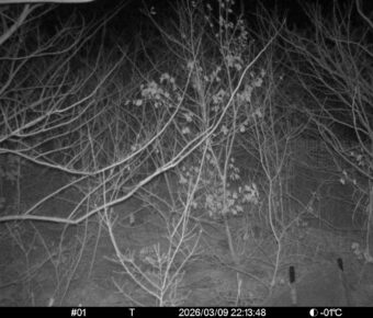 Mar 9 2026 22:13:47, #01