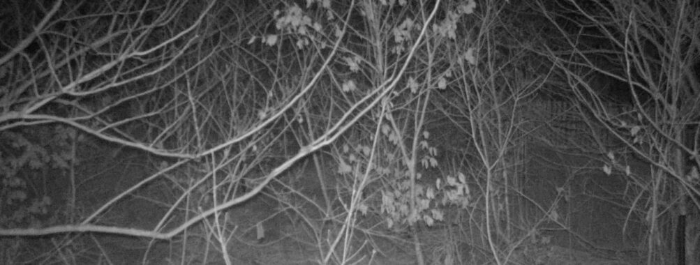 Mar 10 2026  1:13:47, #01