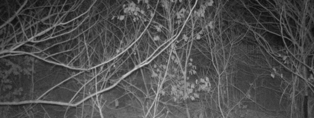 Mar 10 2026  4:13:47, #01