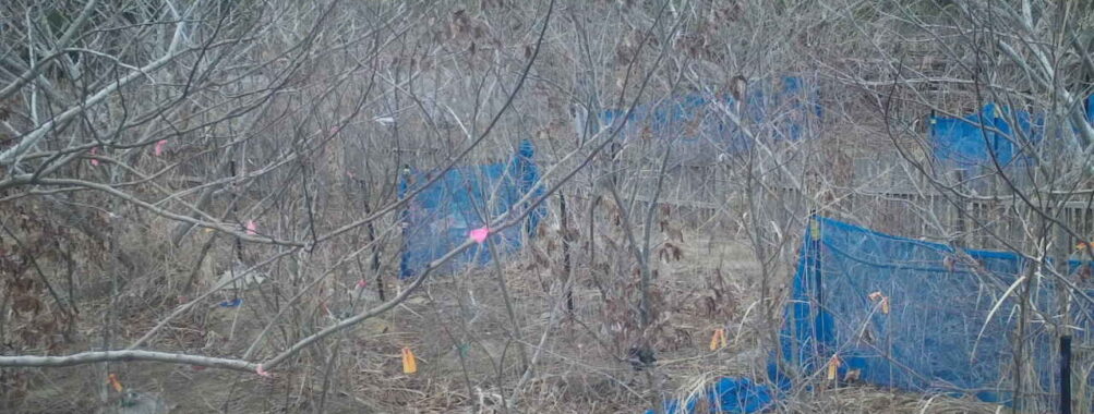 Mar 10 2026  7:13:48, #01