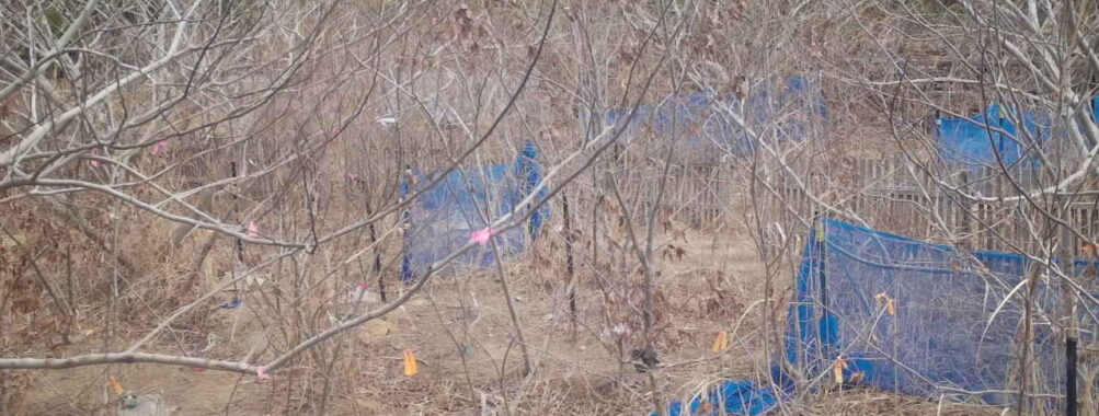 Mar 10 2026 10:13:48, #01