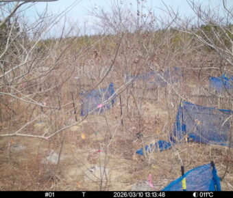 Mar 10 2026 13:13:48, #01