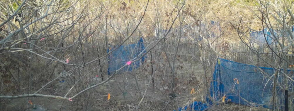 Mar 10 2026 16:13:48, #01