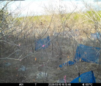 Mar 10 2026 16:13:48, #01