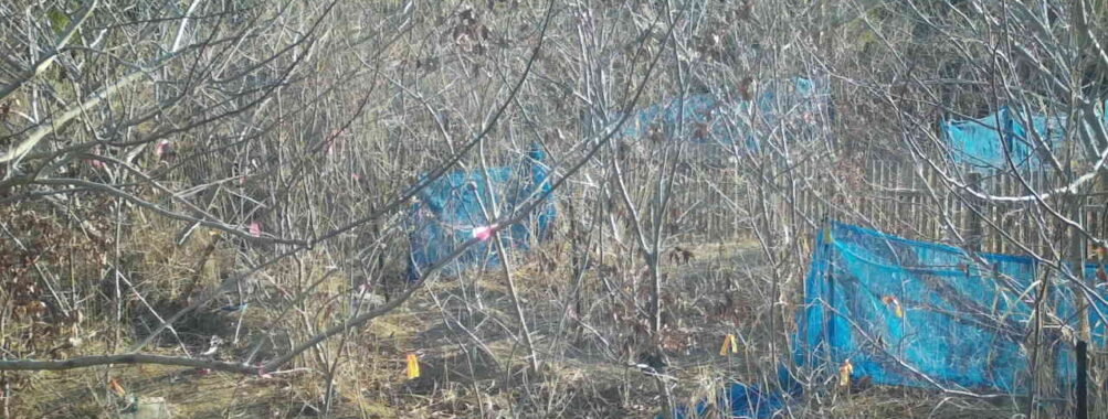 Mar 11 2026  7:13:47, #01