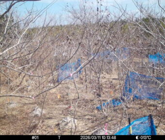 Mar 11 2026 10:13:48, #01