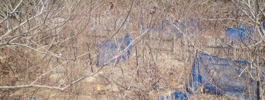 Mar 11 2026 13:13:47, #01