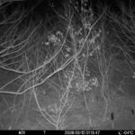 Mar 12 2026 1:13:47, #01