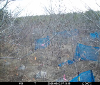 Mar 12 2026  7:13:48, #01