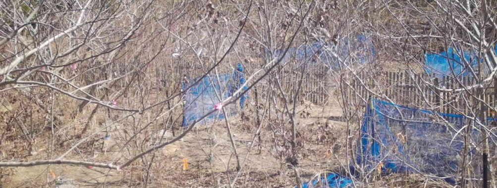 Mar 12 2026 10:13:47, #01