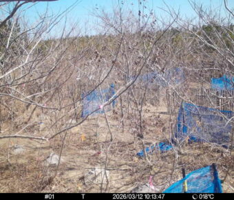 Mar 12 2026 10:13:47, #01