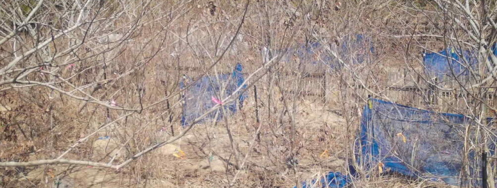 Mar 12 2026 13:13:47, #01