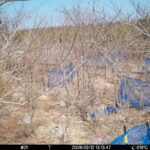 Mar 12 2026 13:13:47, #01