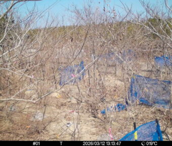 Mar 12 2026 13:13:47, #01