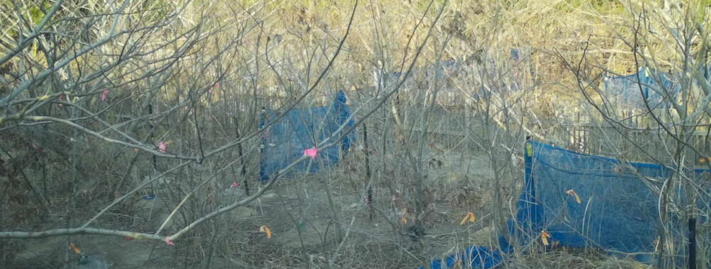 Mar 12 2026 16:13:48, #01