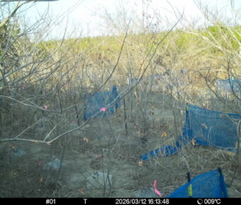 Mar 12 2026 16:13:48, #01