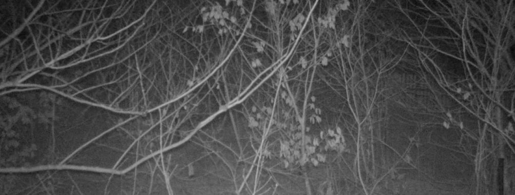 Mar 13 2026  1:13:47, #01