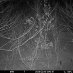 Mar 13 2026 1:13:47, #01