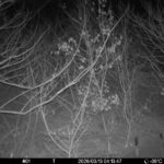 Mar 13 2026 4:13:47, #01