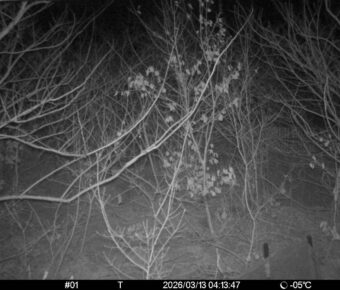 Mar 13 2026  4:13:47, #01