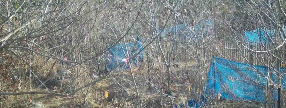 Mar 13 2026  7:13:48, #01