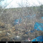 Mar 13 2026 7:13:48, #01