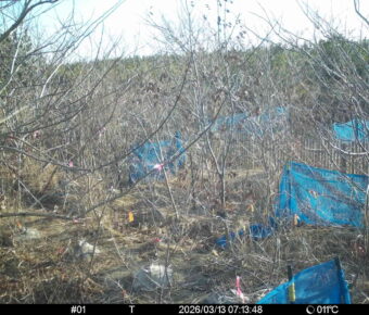 Mar 13 2026  7:13:48, #01