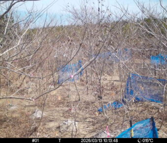 Mar 13 2026 10:13:48, #01