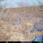 Mar 13 2026 13:13:47, #01