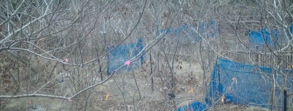 Mar 13 2026 16:13:48, #01