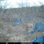 Mar 13 2026 16:13:48, #01