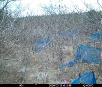 Mar 13 2026 16:13:48, #01